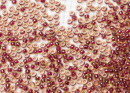 Бисер Япония MIYUKI Seed Beads 15/0 5г 0336 перидот блестящий винная линия внутри