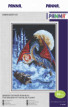 Набор для вышивания " PANNA" F- 0580 ( Ф- 0580 ) " Дракон голубой планеты" 